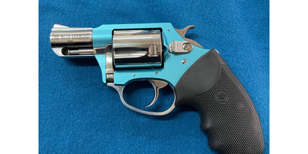 Charter arms Blue Diamond $349